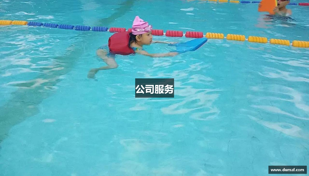公司服务